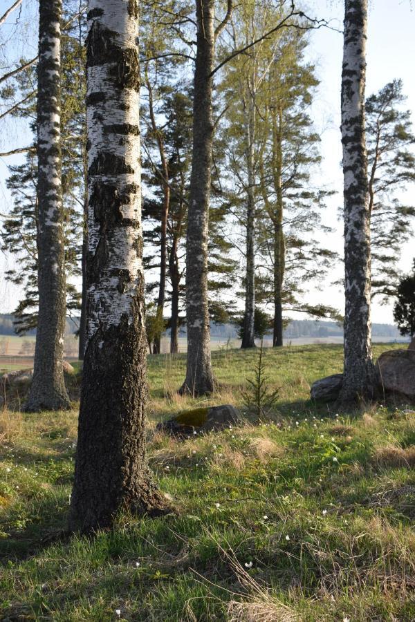 Villa Skogsbacka 拉塞博里 外观 照片